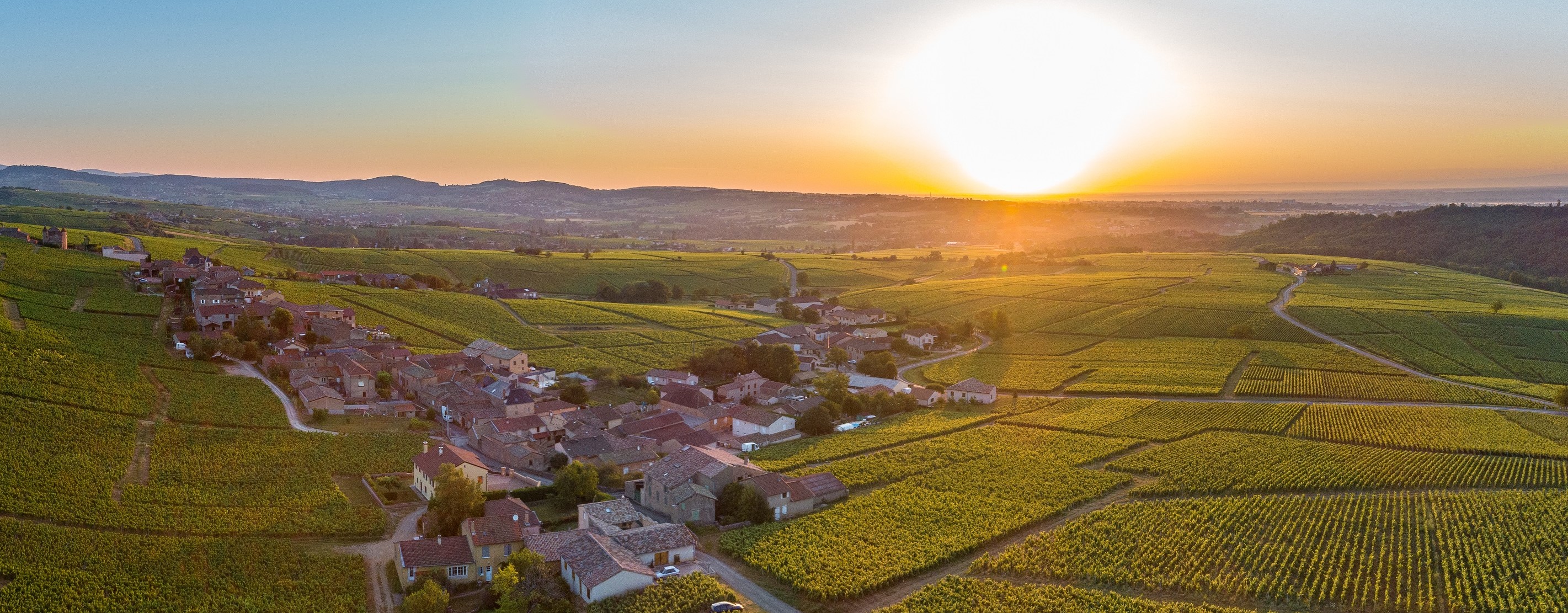 Objectif climat : Les Vins de Bourgogne vers la neutralité carbone