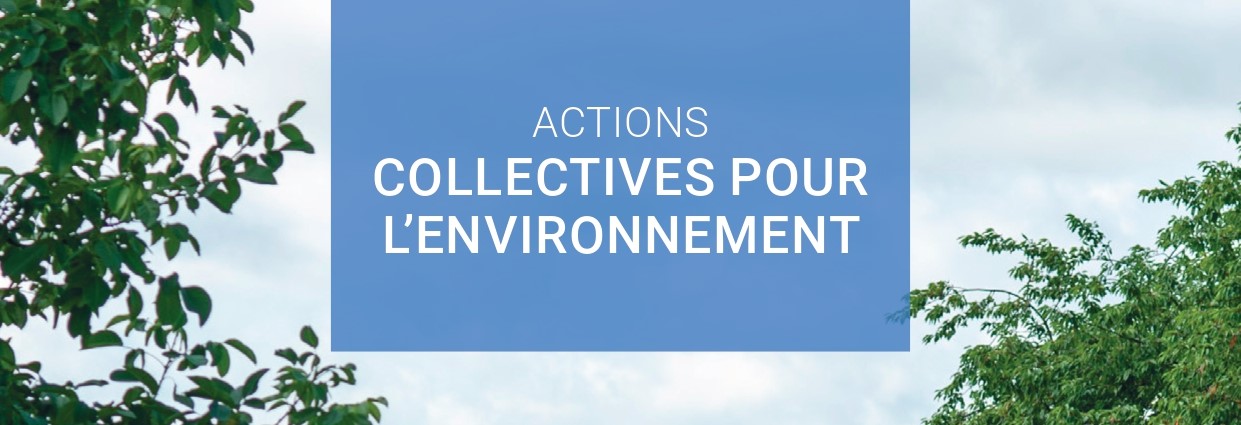 Actions collective pour l'environnement