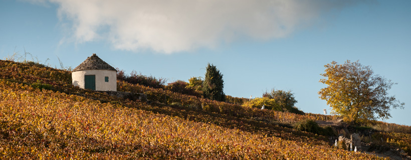 Paysages viticoles : un guide méthodologique