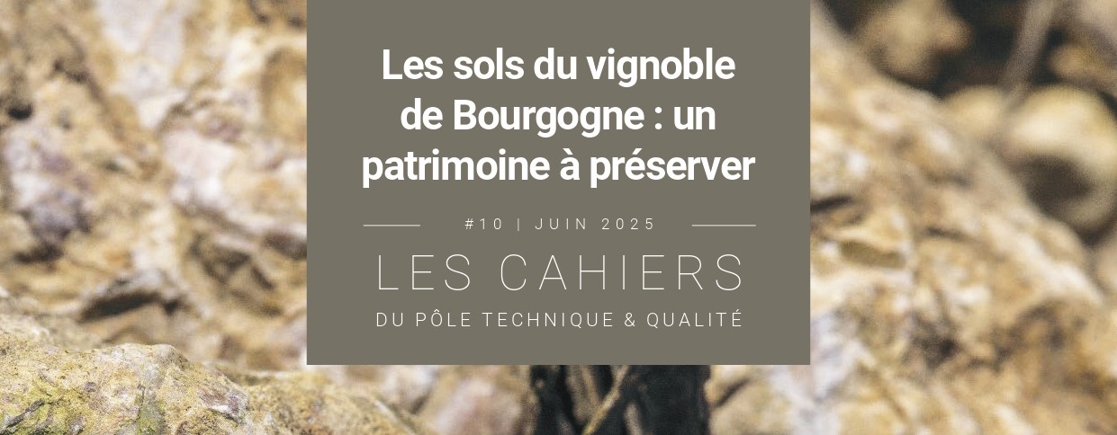 cahier#10 sols de Bourgogne