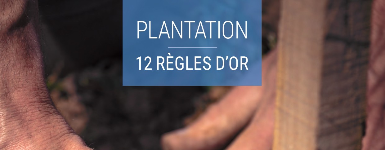 plaquette plantation 26