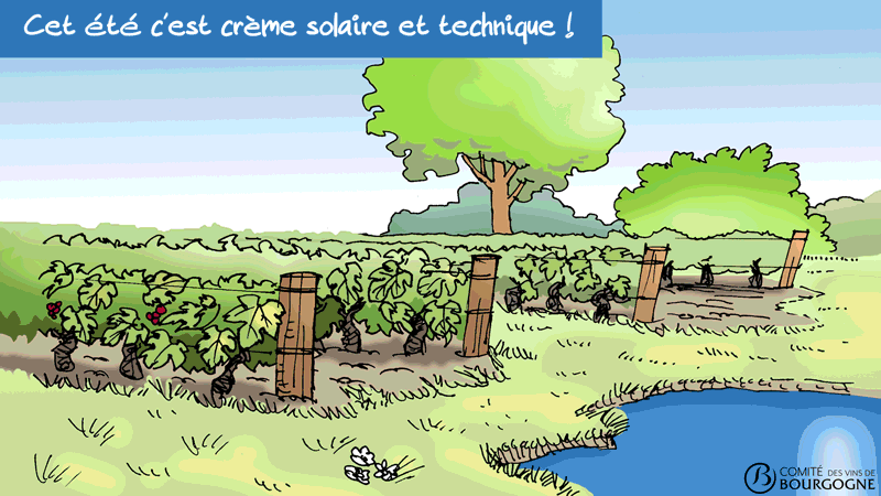 cremesolaireettechnique26